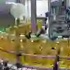 Оборудование для производства растительного масла в лизинг
